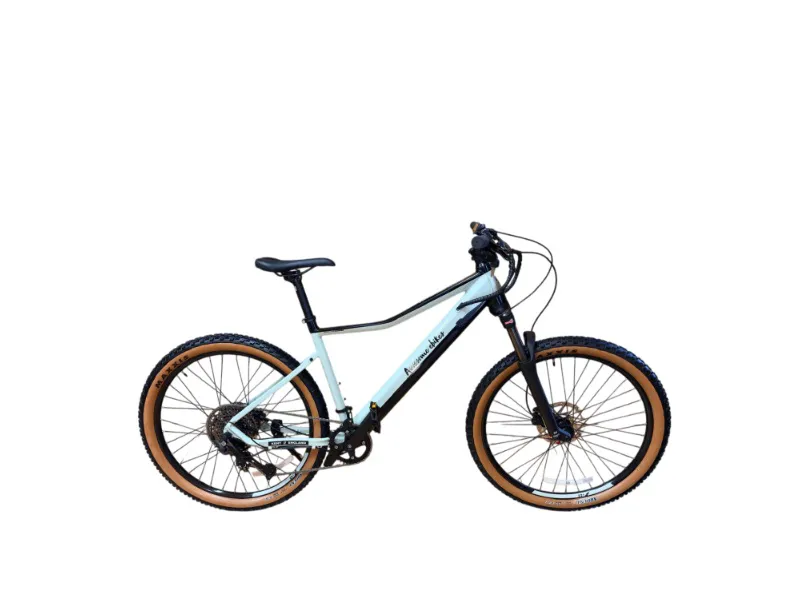 Best Vaule for money Mountain Bike
