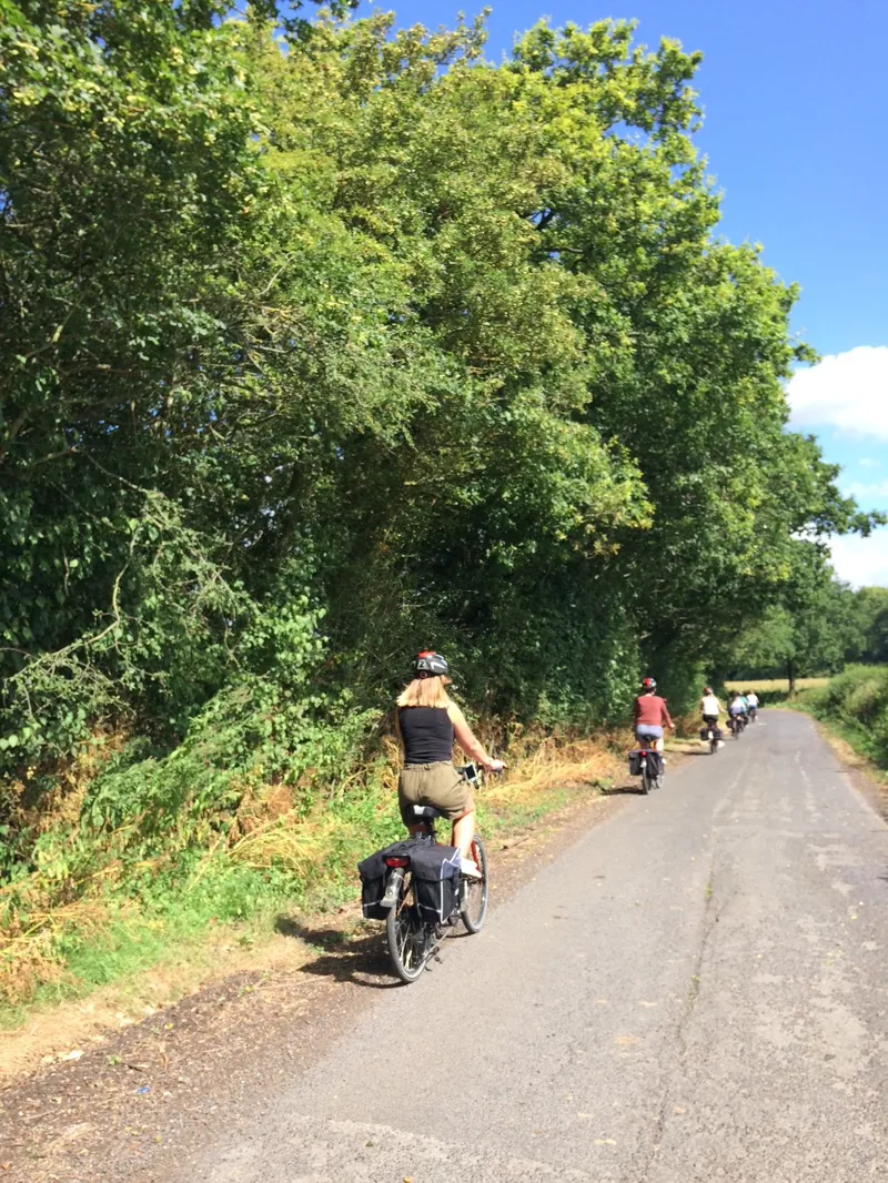E-bikes lined up ready for hire