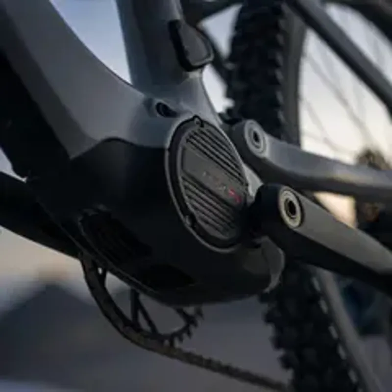 Amflow PX Carbon in Large-1