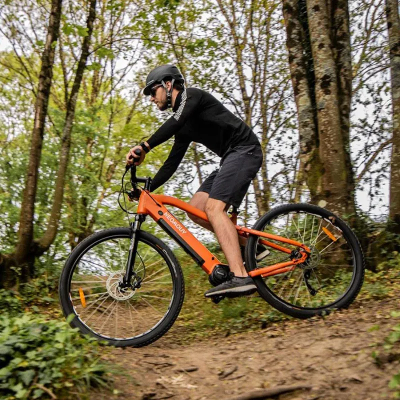 Neomouv Enara 2 Electric Mountain Bike - Orange-2