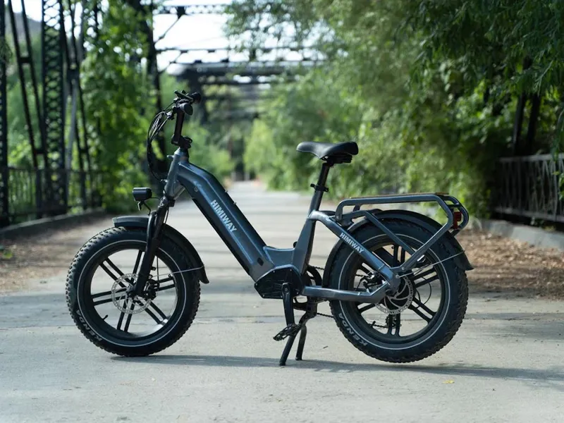 Himiway Big Dog Fat Tyre E-Bike Grey-1