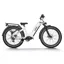 Himiway Zebra D5 Step Through Electric Fat Bike - White