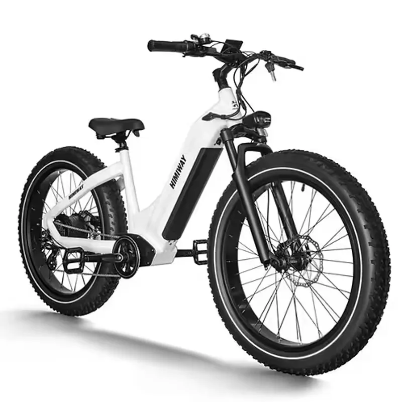 Himiway Zebra D5 Step Through Electric Fat Bike - White-1