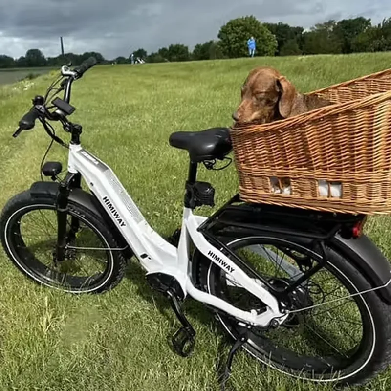 Himiway Zebra D5 Step Through Electric Fat Bike - White-2