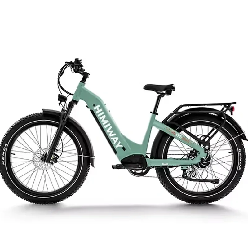 Himiway Zebra D5 Step Through Electric Fat Bike - Green